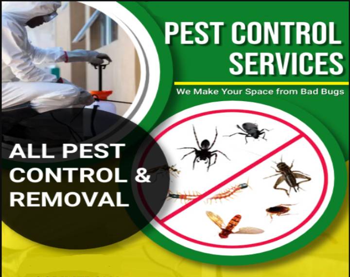 pest-control-service-8